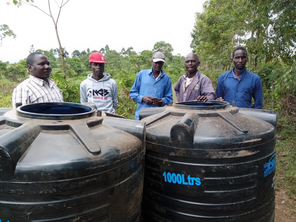 This image for Image Layouts addon